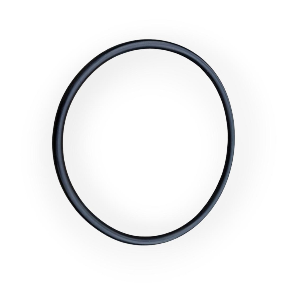 Oring 165x8 Putzmeister cod 041463004