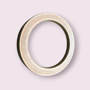 Inel uzura Putzmeister 261123001